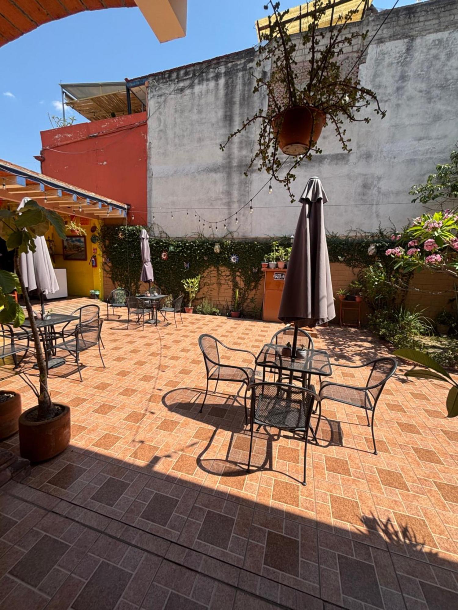 Hotel Posada "Mi Rosita" Oaxaca المظهر الخارجي الصورة