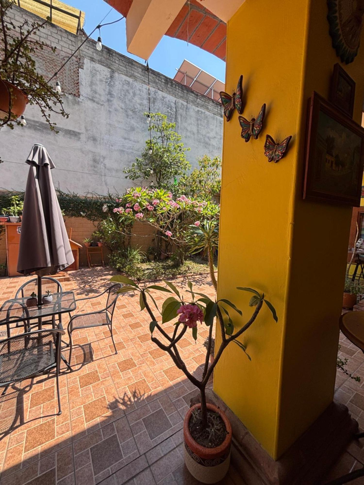 Hotel Posada "Mi Rosita" Oaxaca المظهر الخارجي الصورة