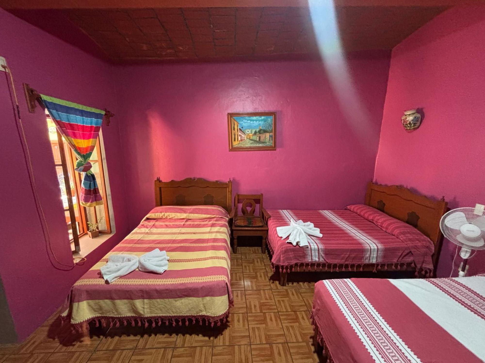 Hotel Posada "Mi Rosita" Oaxaca المظهر الخارجي الصورة
